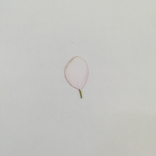 Load image into Gallery viewer, Cake Toppers-Floral