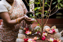 Load image into Gallery viewer, Kanagambaram Kota Saree