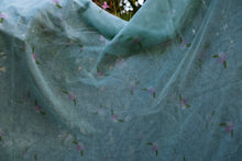 Load image into Gallery viewer, Arali Kota Saree