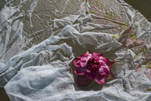 Load image into Gallery viewer, Thamarai Kota Saree